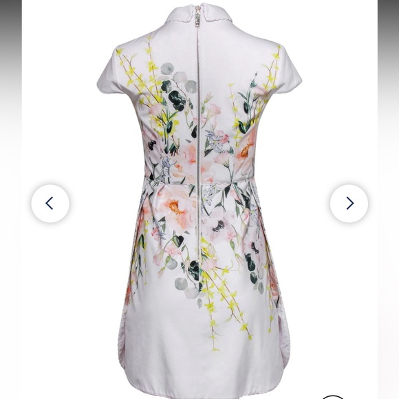 Ted Baker Elegance Print white fit and flare white dress - Picture 6 of 8